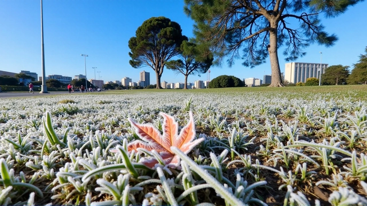 Curitiba Enfrenta Geada Intensa com Queda de Temperaturas para 17°C